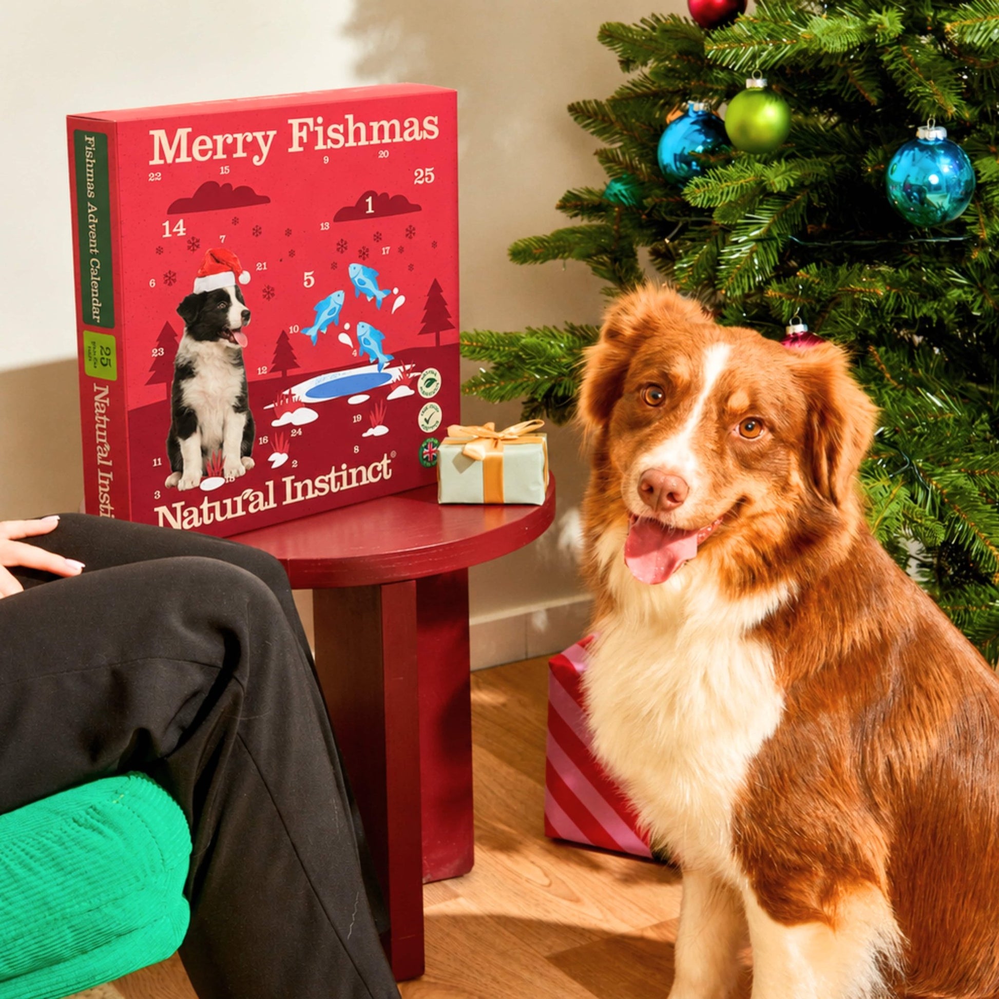 Nutriment Fishmas Advent Calendar for Dogs - Hairy Dogs (Cambs) Ltd