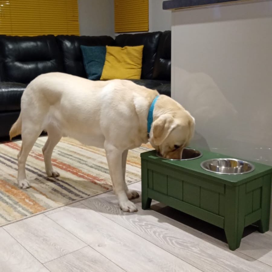 Double Raised Dog Bowl - Standard (27cm)