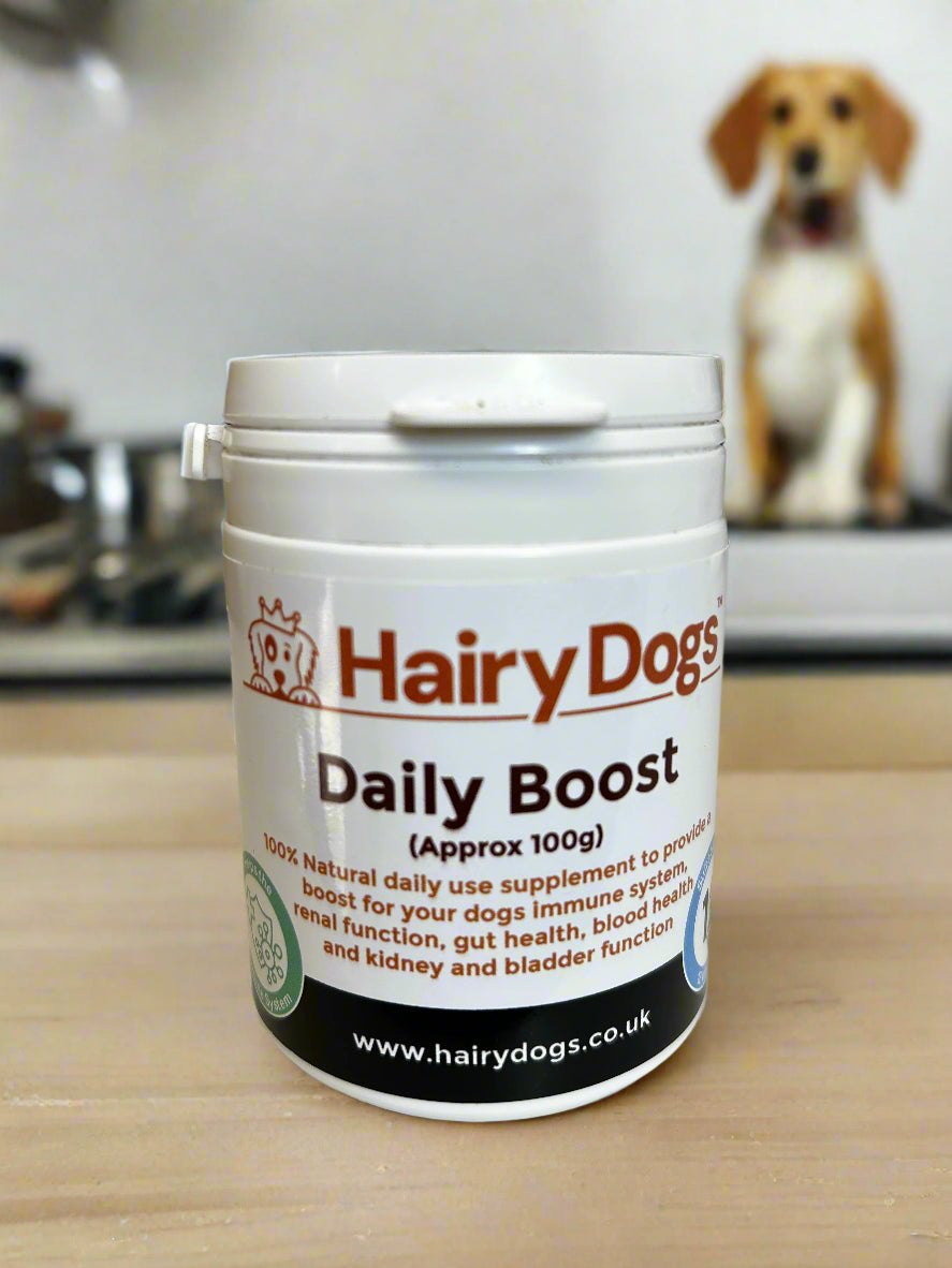 Daily Boost Supplement 100g