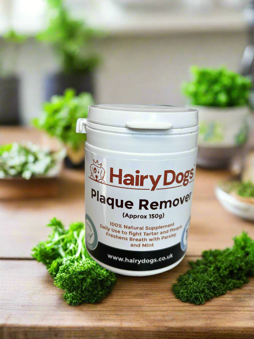 Hairy Dogs Plaque Remover