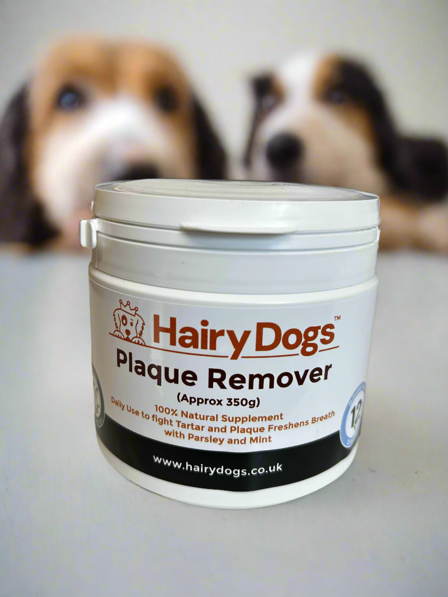 Hairy Dogs Plaque Remover