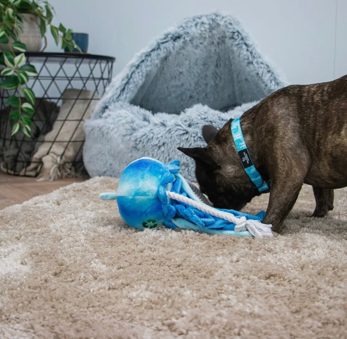 made from jelly fish recycled dog toy eco friendly