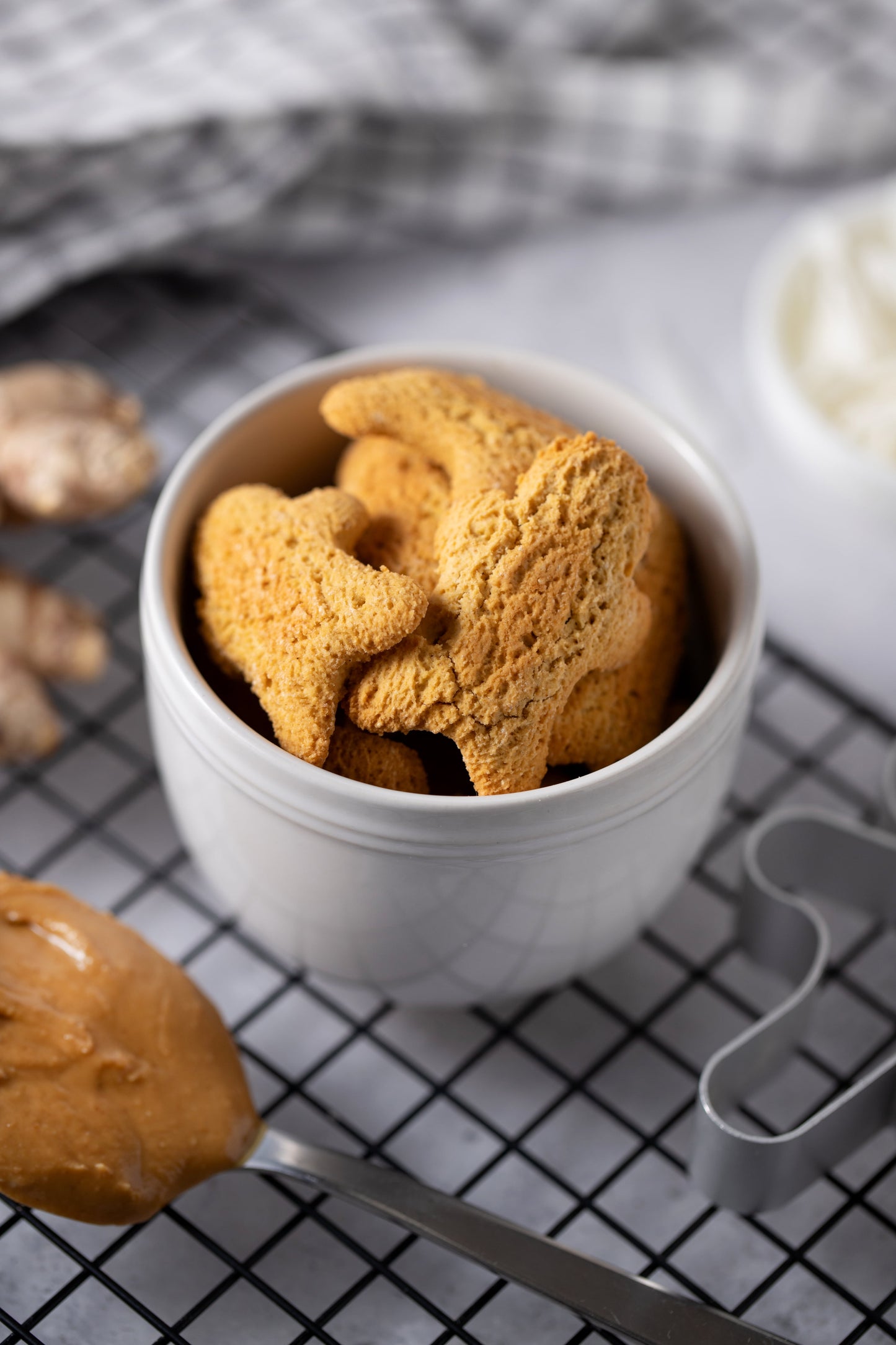 Life of Riley Mini Gingerbread Men Dog Treats – Grain-Free, 100% Natural