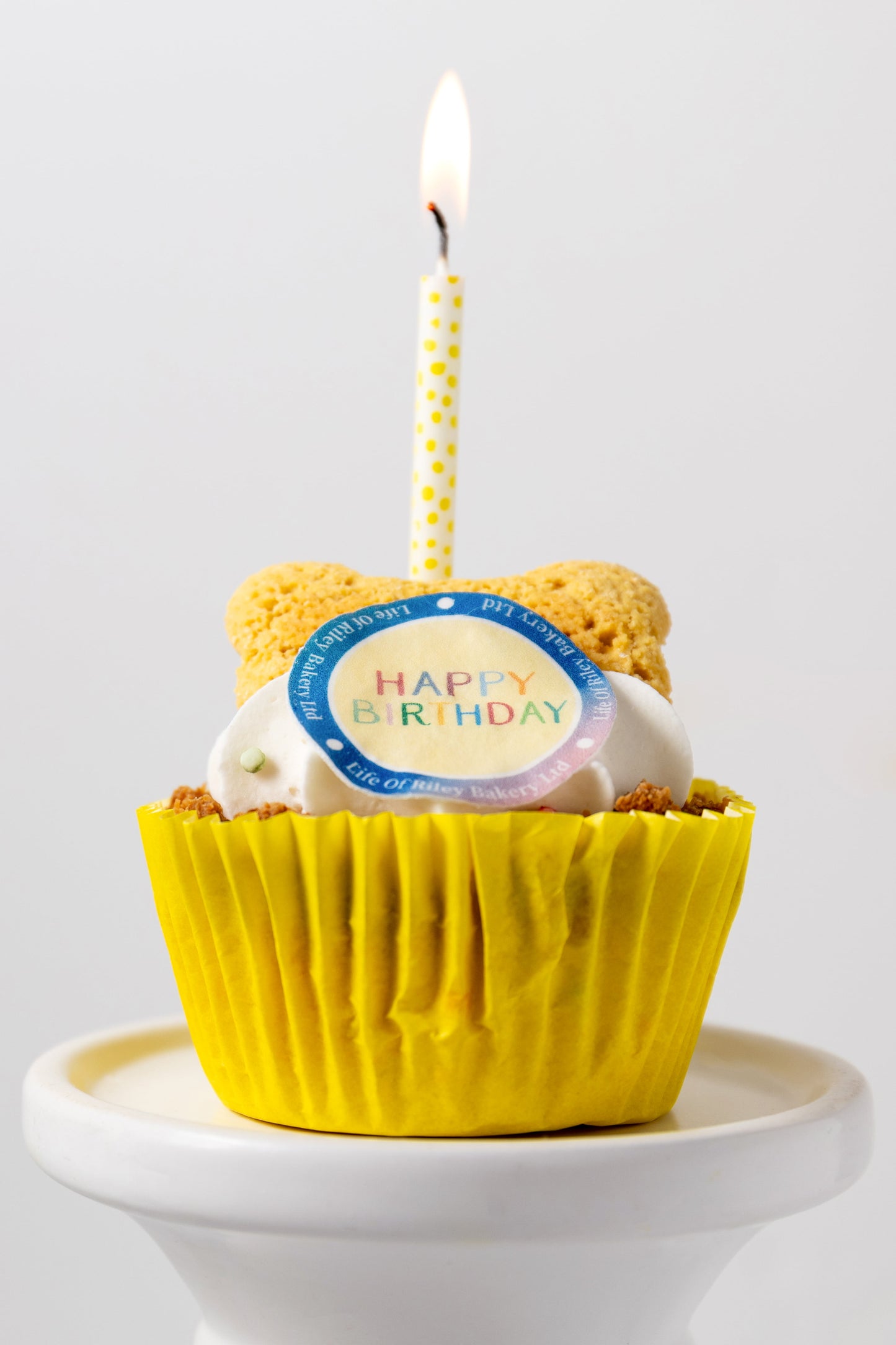 Life of Riley Luxury Birthday PupCake for Dogs – 100% Natural, Grain-Free - Hairy Dogs (Cambs) Ltd
