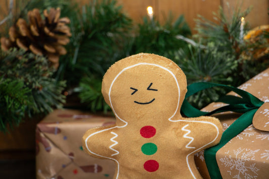 Ancol Georgia Gingerbread Christmas Dog Toy - Hairy Dogs (Cambs) Ltd