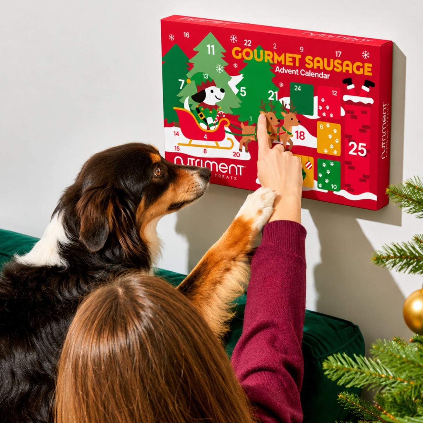 Nutriment Gourmet Sausage Advent Calendar for Dogs - Hairy Dogs (Cambs) Ltd