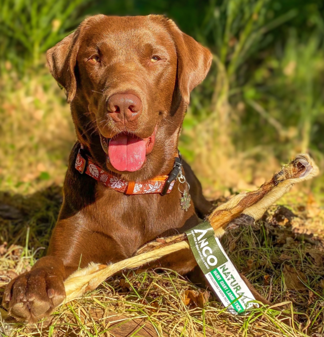 Hairy Giant Lamb Stick