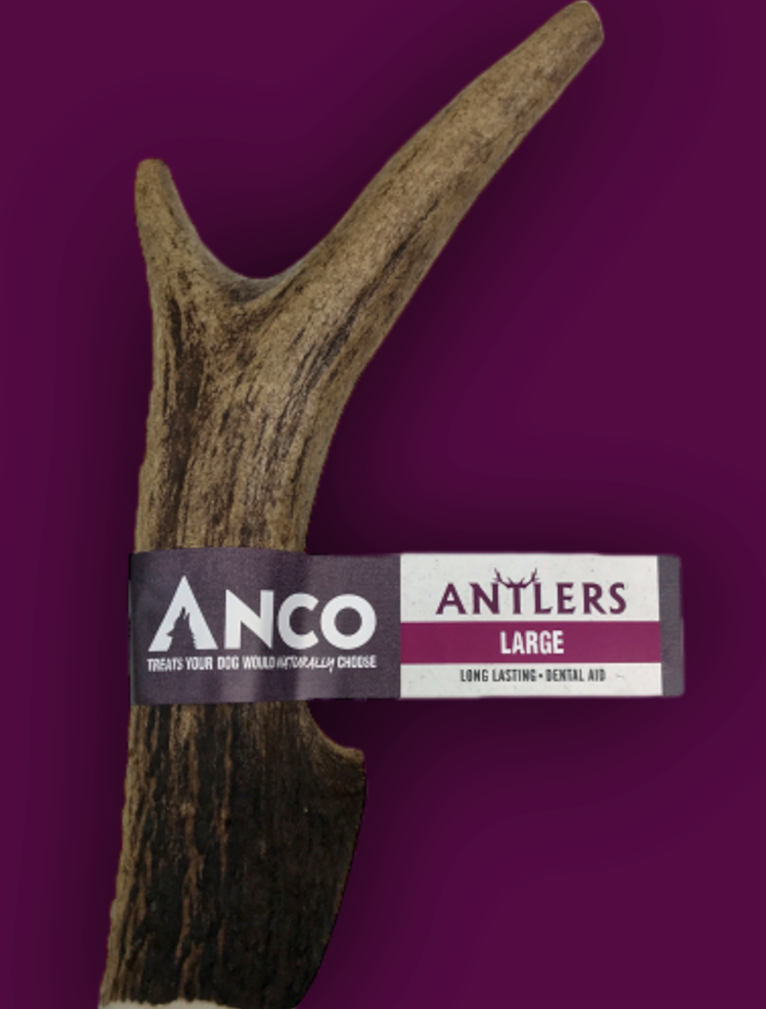 Antler