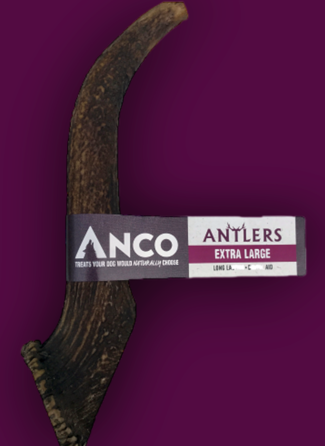 Antler