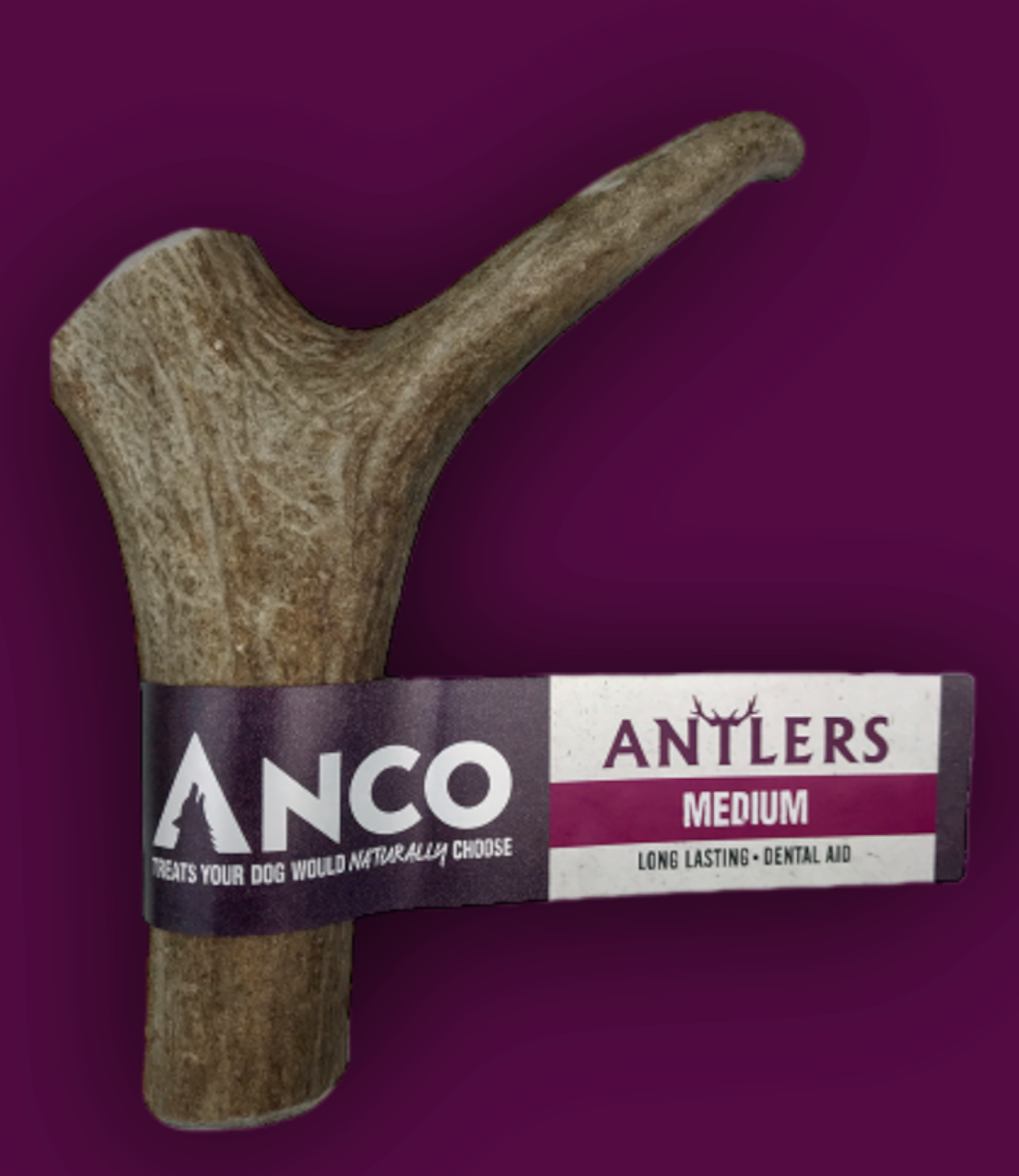 Antler