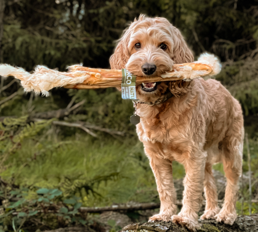 Hairy Giant Rabbit Stick