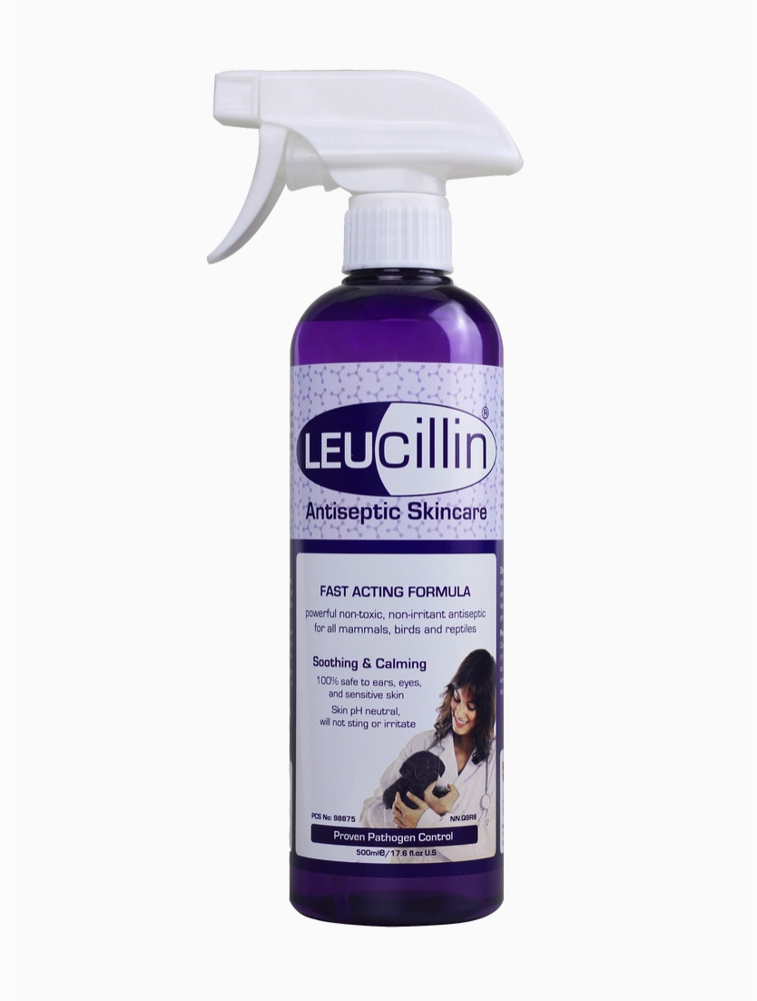 Leucillin Pet Antiseptic Spray | 500ml