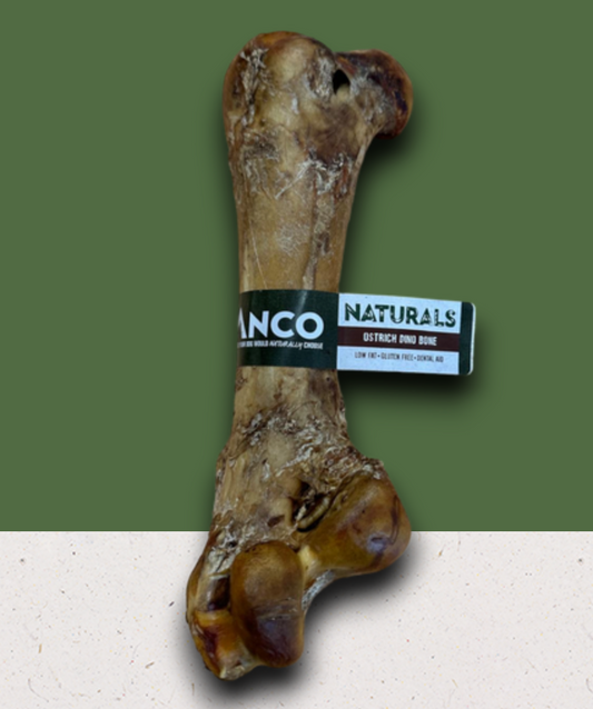 Ostrich Dino Bone.
