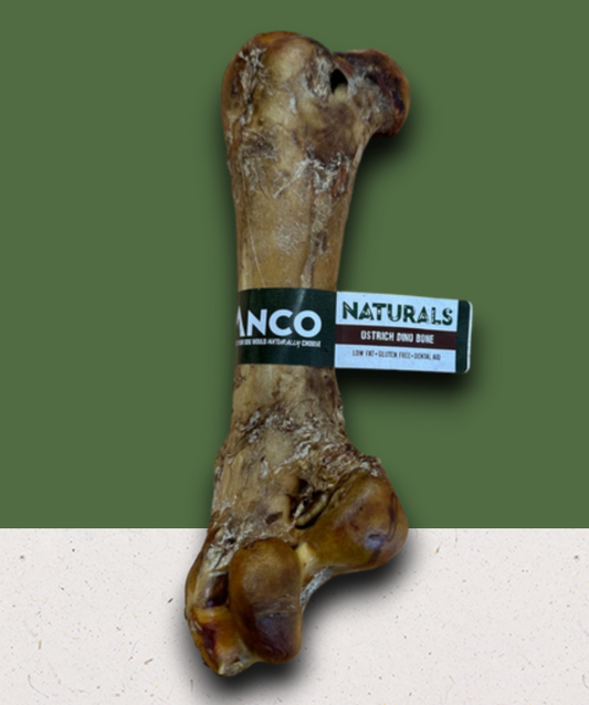 Ostrich Dino Bone