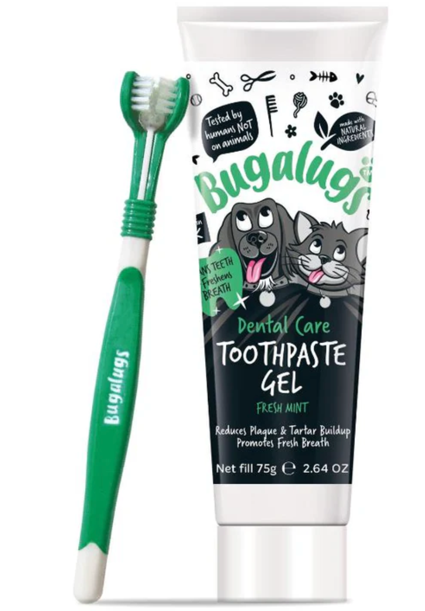 Bugalugs Dental Kit.