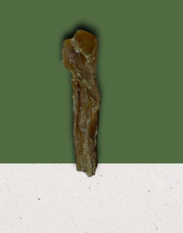 Anco Naturals Mini Bully Muscle Stick – 100% Beef Nerve, High Protein & Low Fat Dog Treat