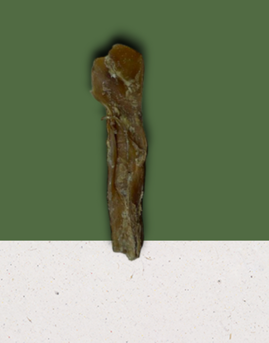 Anco Naturals Mini Bully Muscle Stick – 100% Beef Nerve, High Protein & Low Fat Dog Treat