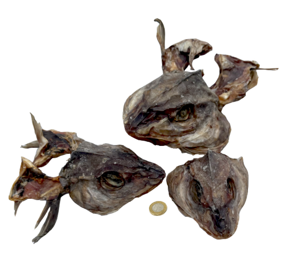 Whole Haddock Heads for dogs healthy skin coat