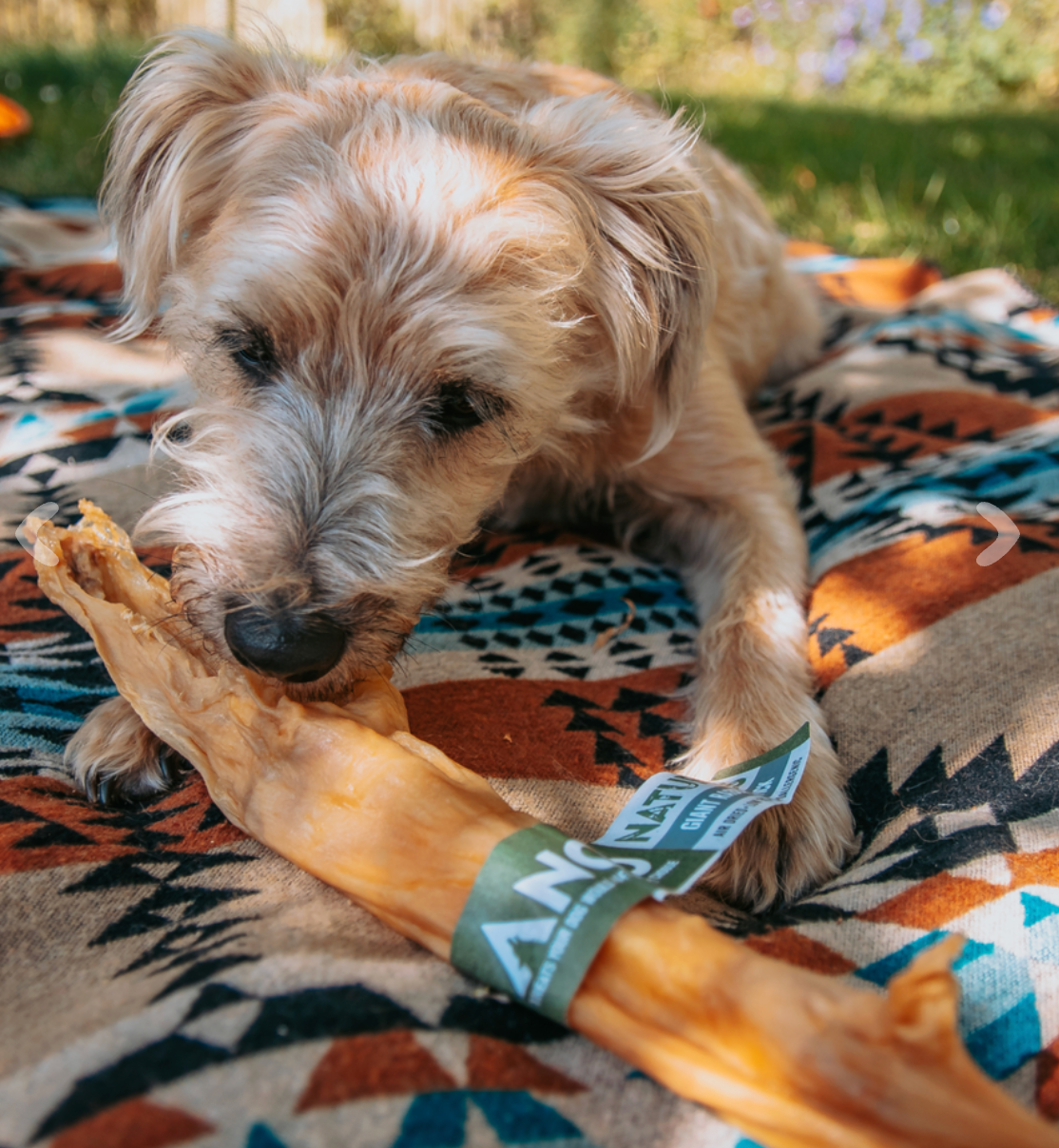 Anco Naturals Giant Rabbit Stick