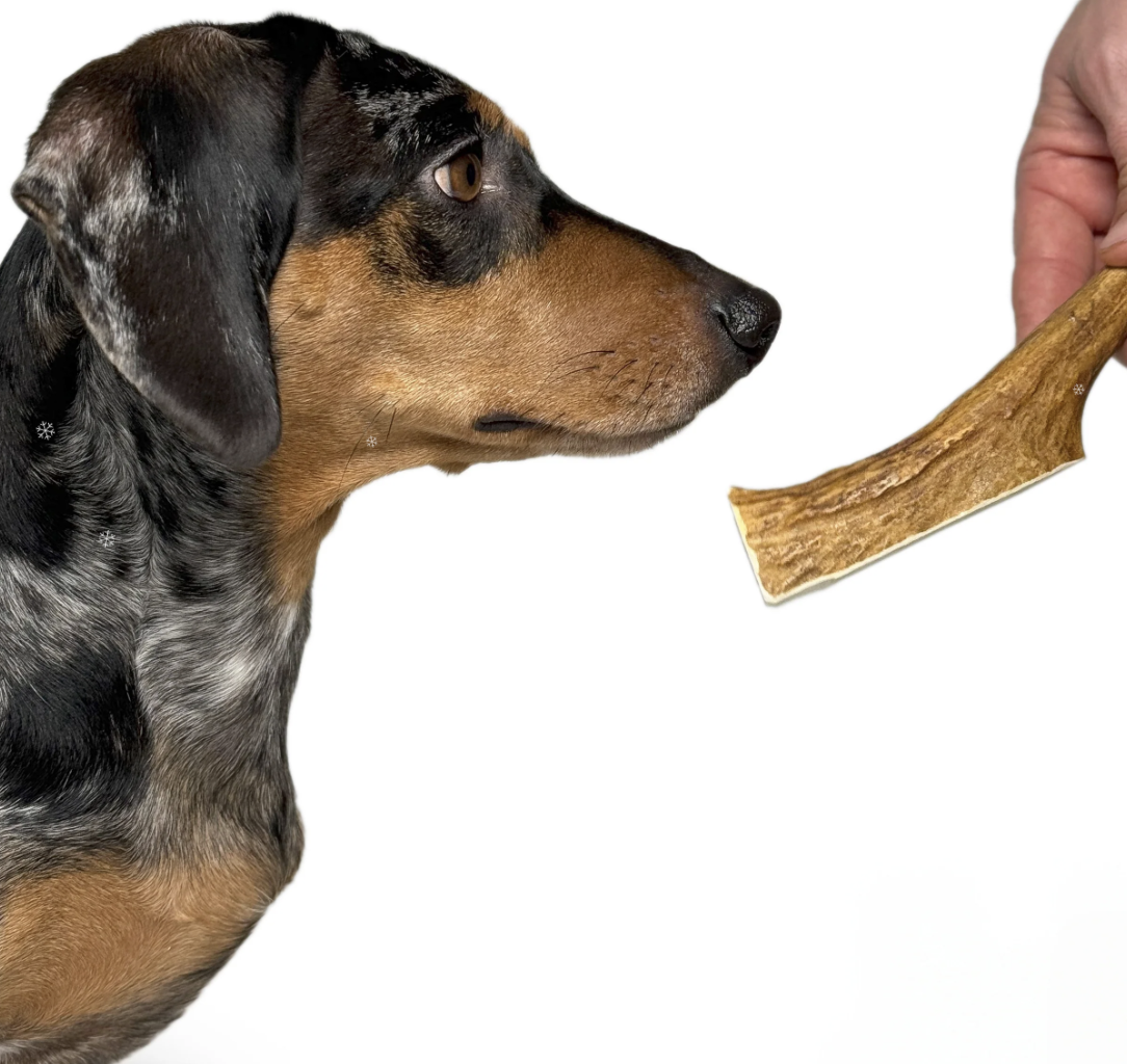 Natural Elk Antler Dog Chew | Very Hard, Long-Lasting & Hypoallergenic Chew for Power Chewers