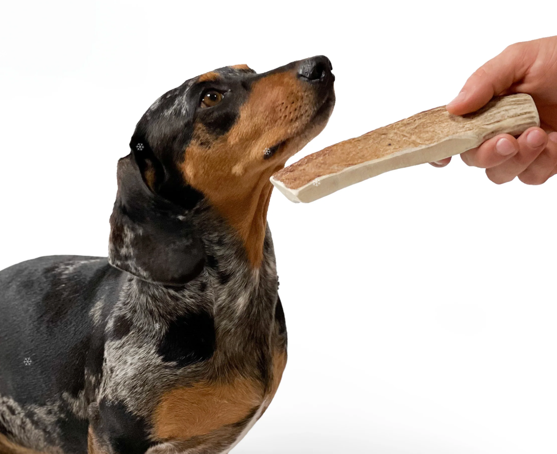 Natural Elk Antler Dog Chew | Very Hard, Long-Lasting & Hypoallergenic Chew for Power Chewers