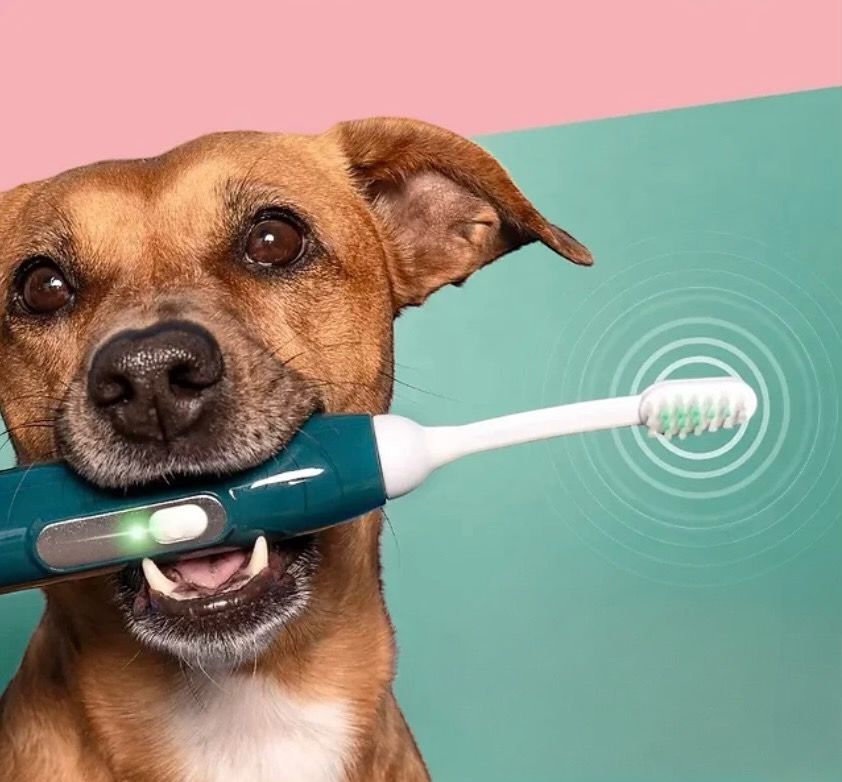 Ultrasonic Teeth Cleaning.jpg__PID:2fd01b49-6176-434f-a997-e03502a313e5