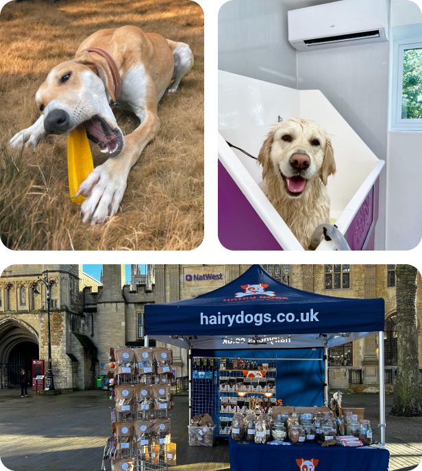 Why Choose hairy dogs.png__PID:e302726b-0afb-4edf-aa69-6281e266d4fc