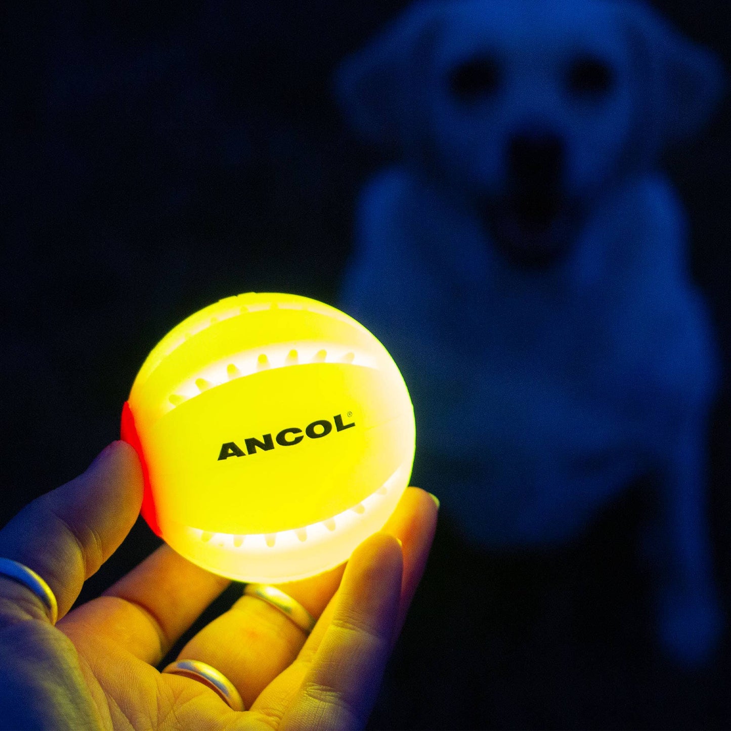Ancol Rechargeable LED Dog Ball