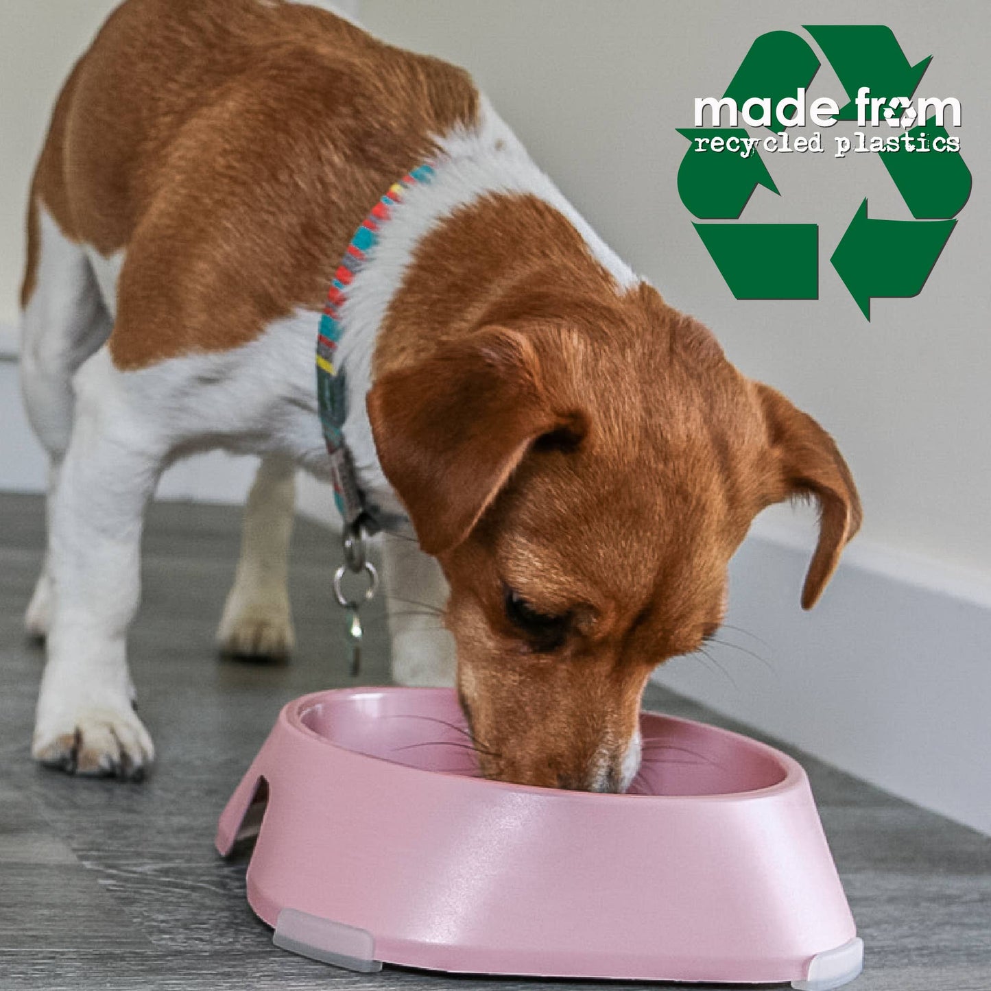 Ancol Made From recycled dog bowl colour range detail