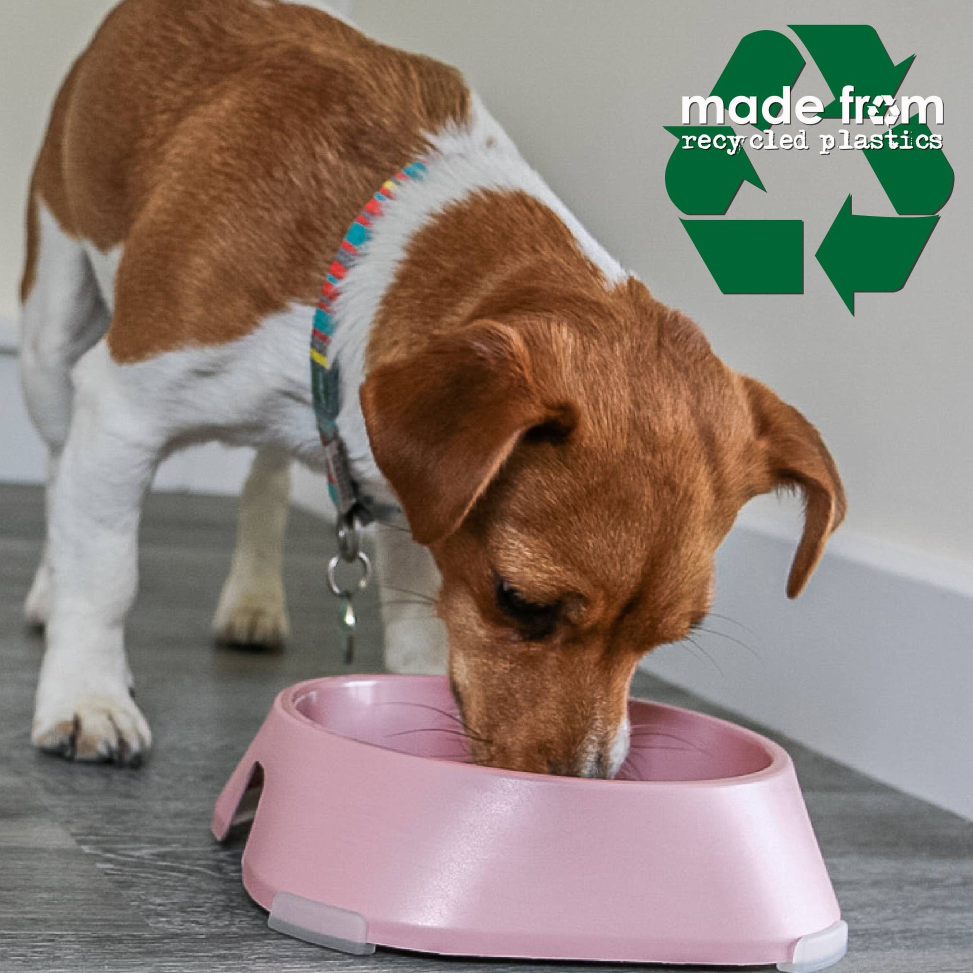 Ancol Made From recycled dog bowl colour range detail