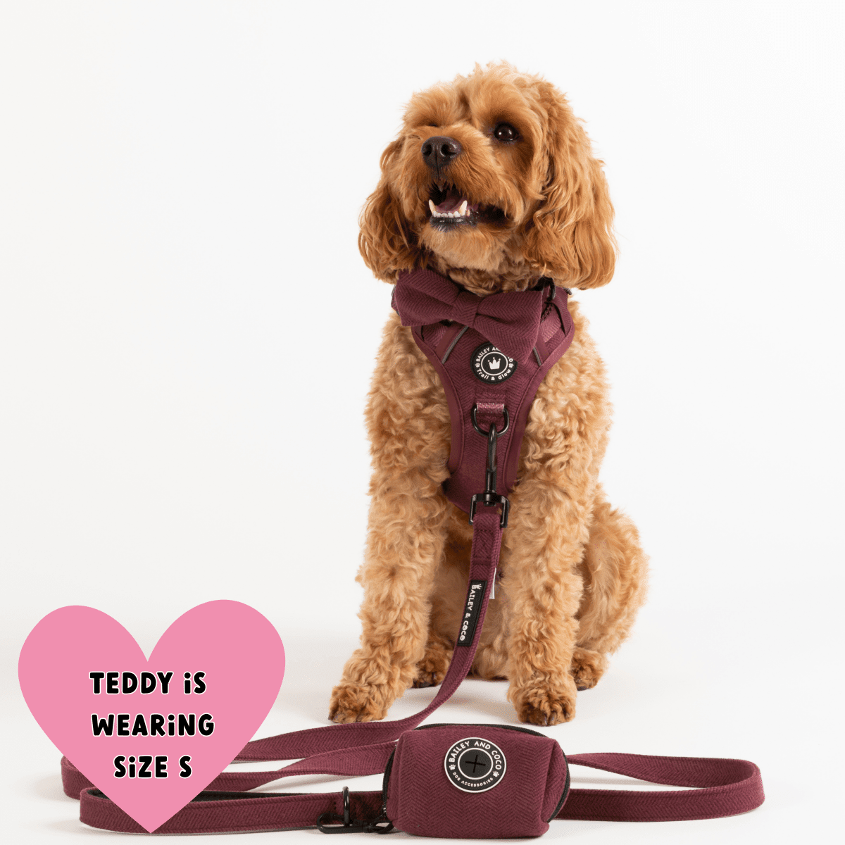 Trail & Glow® Dog Harness - Mulberry Tweed.