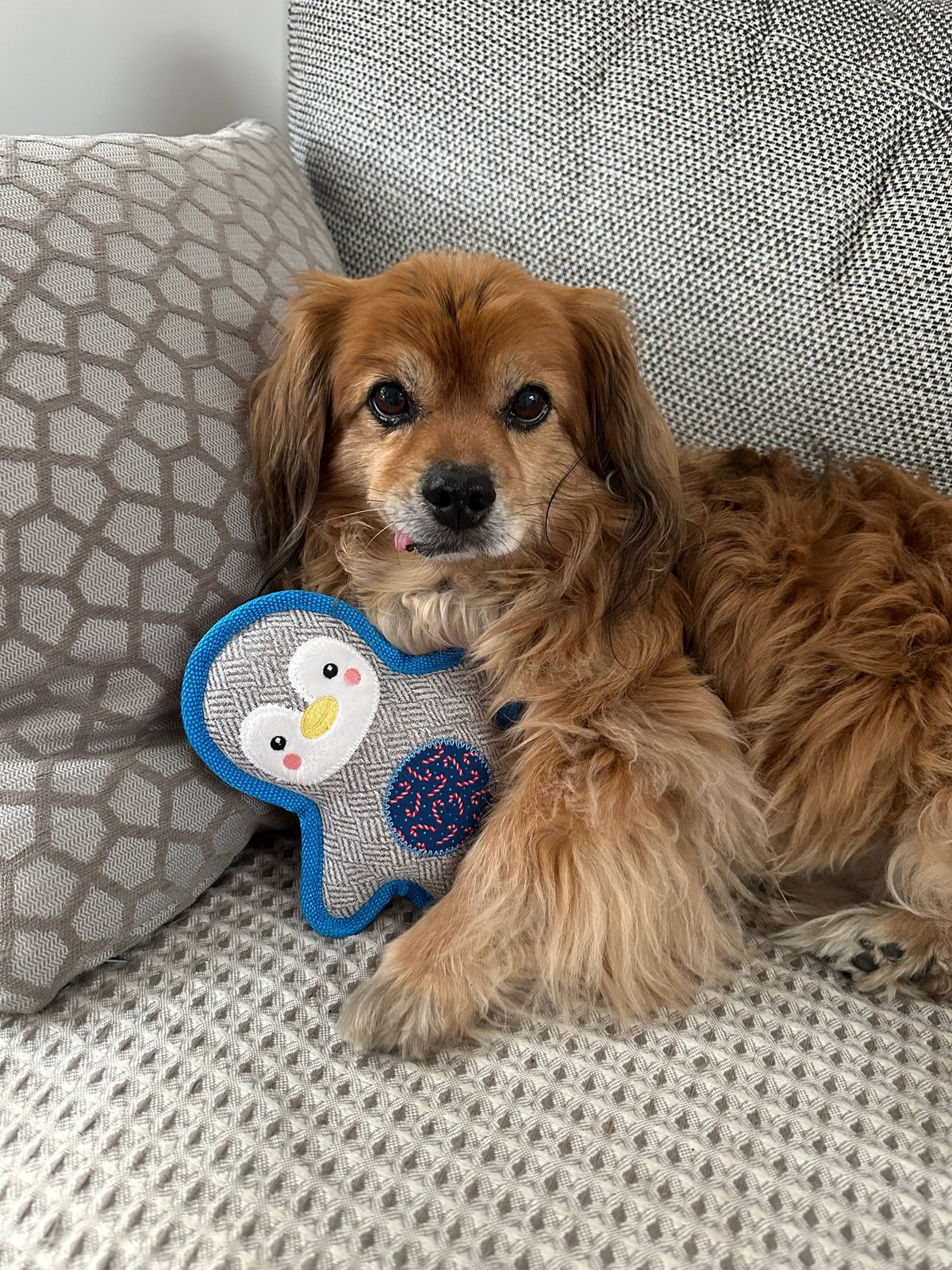 PetLondon Tweed Penguin Plush Squeaky Dog Toy – image 4