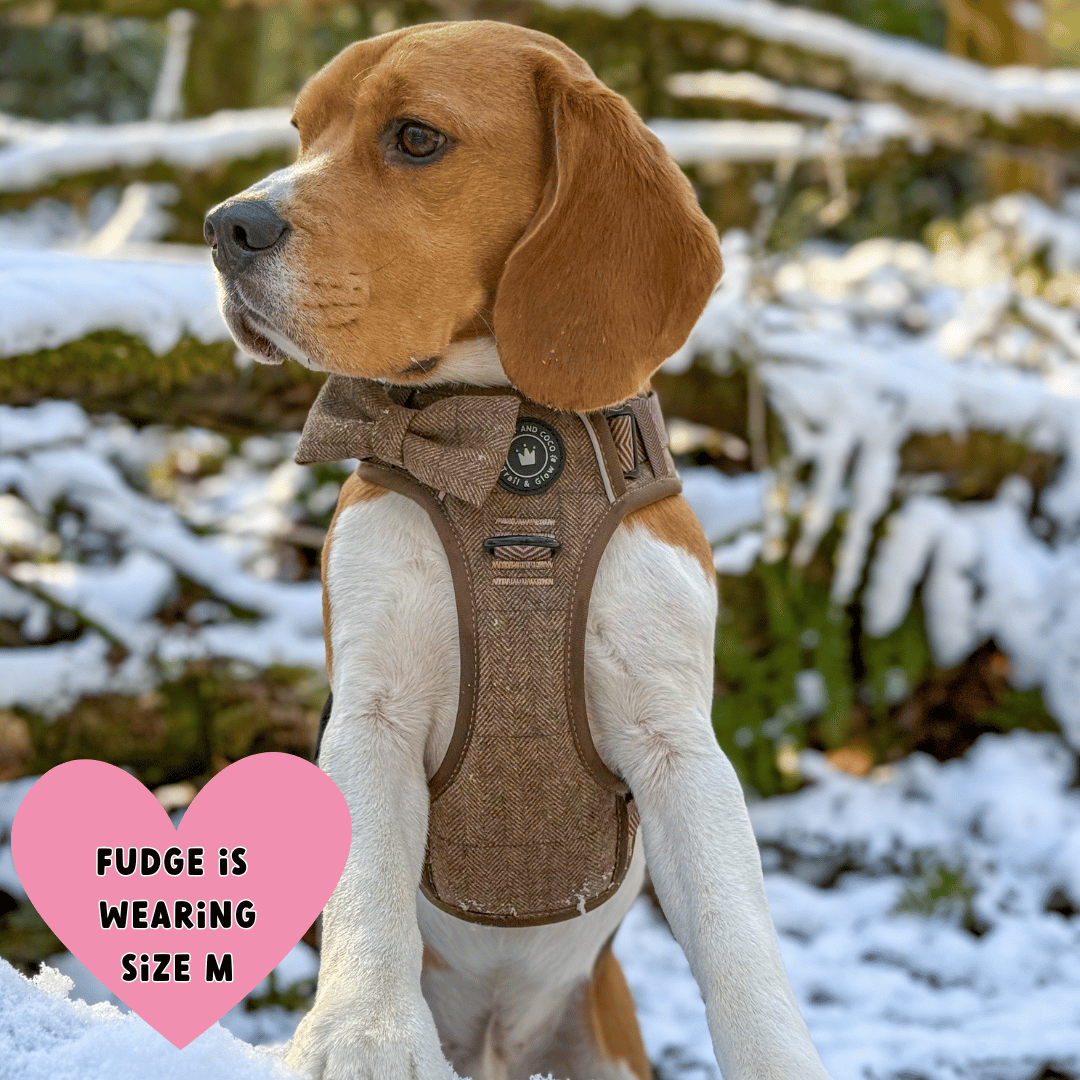 Oxford Tweed harness fitting guide showing how to thread front legs and fasten neck clasp