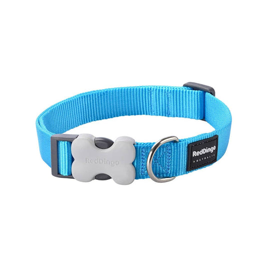 Red Dingo Classic turquoise dog collar — Bucklebone side-release buckle, stainless steel D-ring, abrasion-resistant webbing, available XS to Large