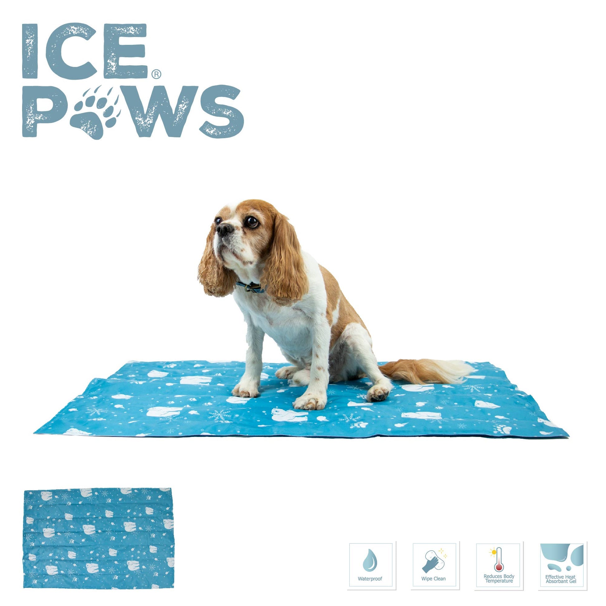 Cavalier King Charles Spaniel sitting on a blue Ice Paws Cooling Mat with polar bear pattern, shown with Ice Paws logo and icons for waterproof, wipe clean, and body temperature reduction features.
