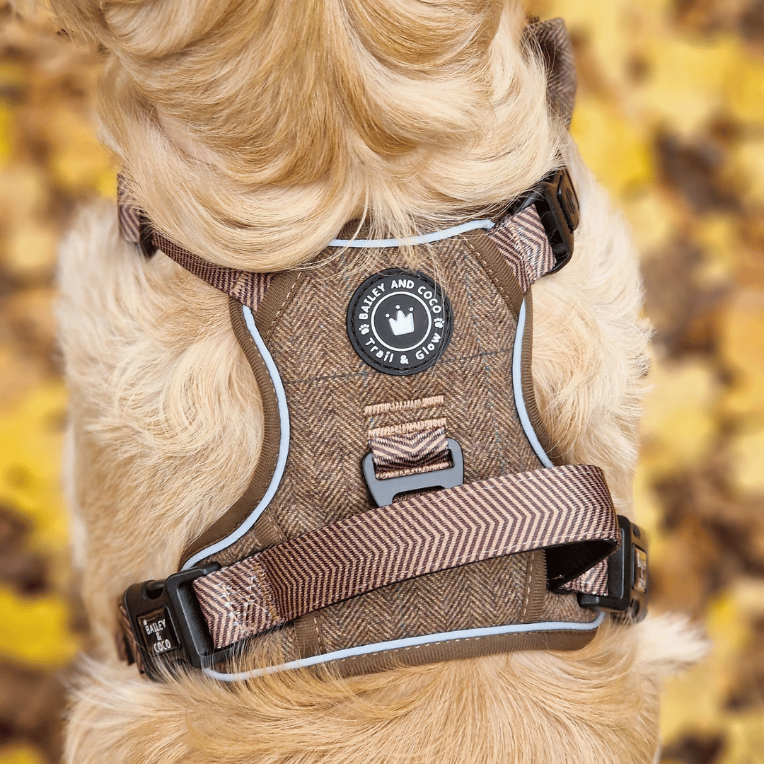 Oxford Tweed harness breathable mesh lining detail — quick-dry inner for comfortable active walks
