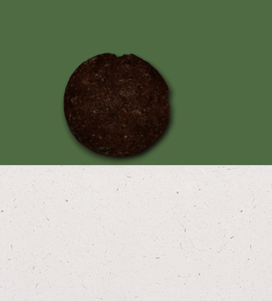 close up of anco ostrich coin natural dog treat showing texture and size