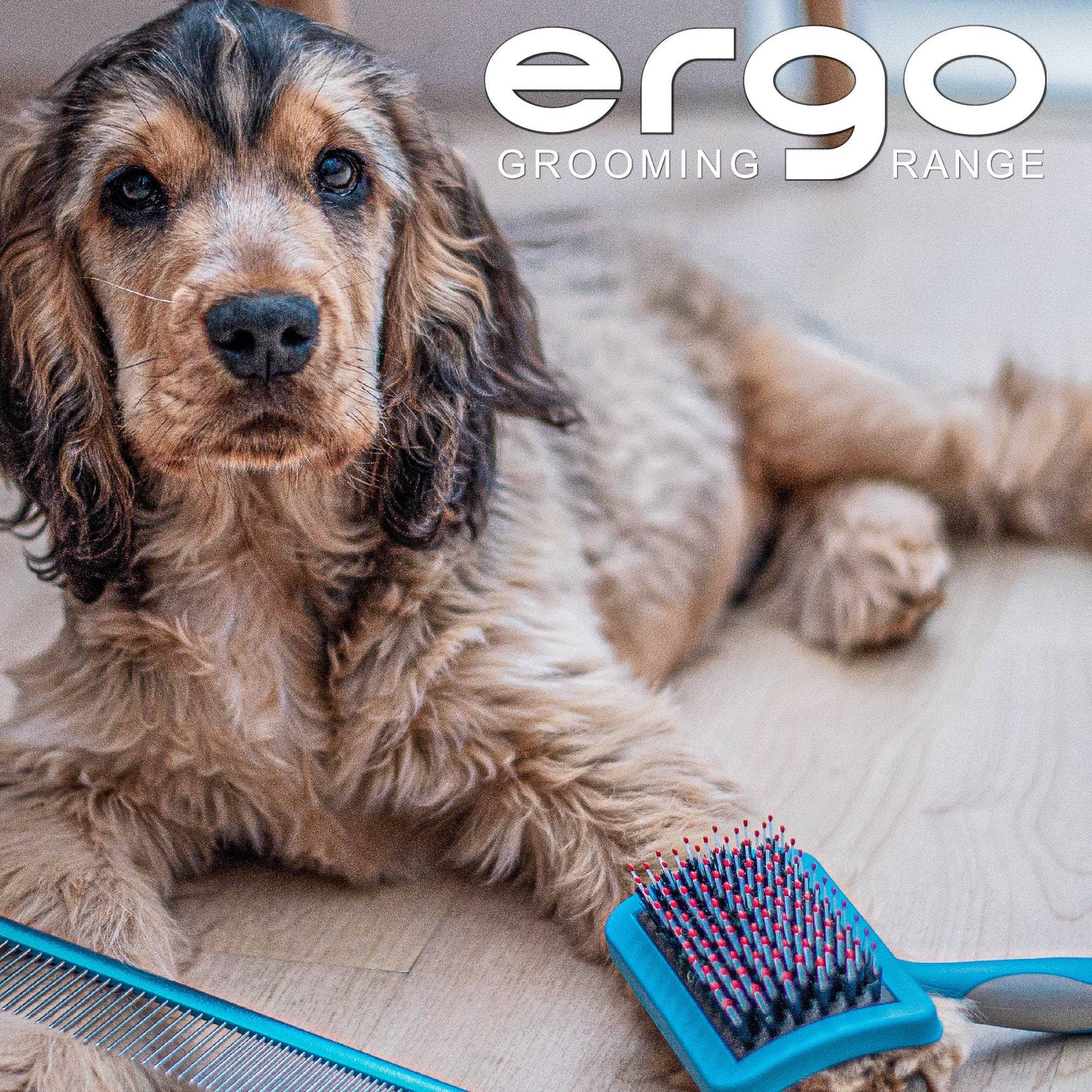 Dog being gently brushed with the Ancol Ergo Hedgehog Slicker Brush Small