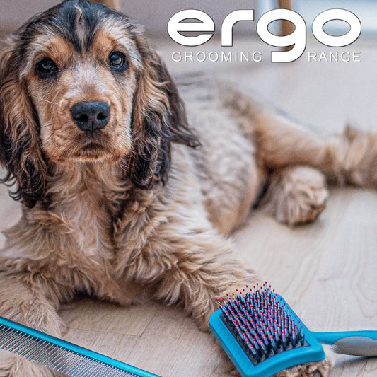 Dog being gently brushed with the Ancol Ergo Hedgehog Slicker Brush Small