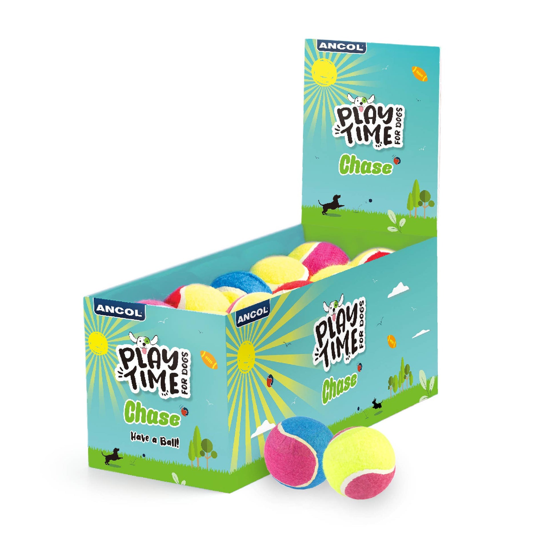 Bright Ancol Playtime Chase Tennis Balls for Dogs in colourful box – durable bouncy fetch toy by Hairy Dogs