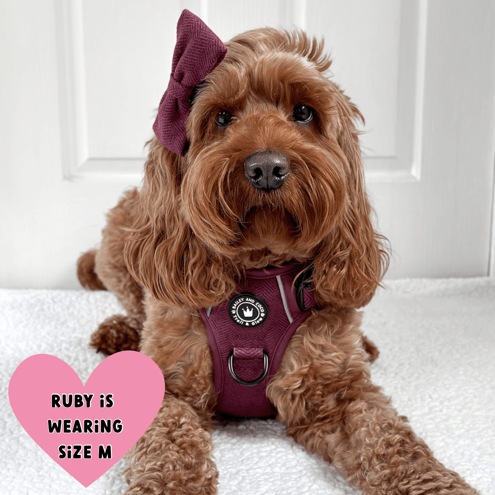 Trail & Glow® Dog Harness - Mulberry Tweed.