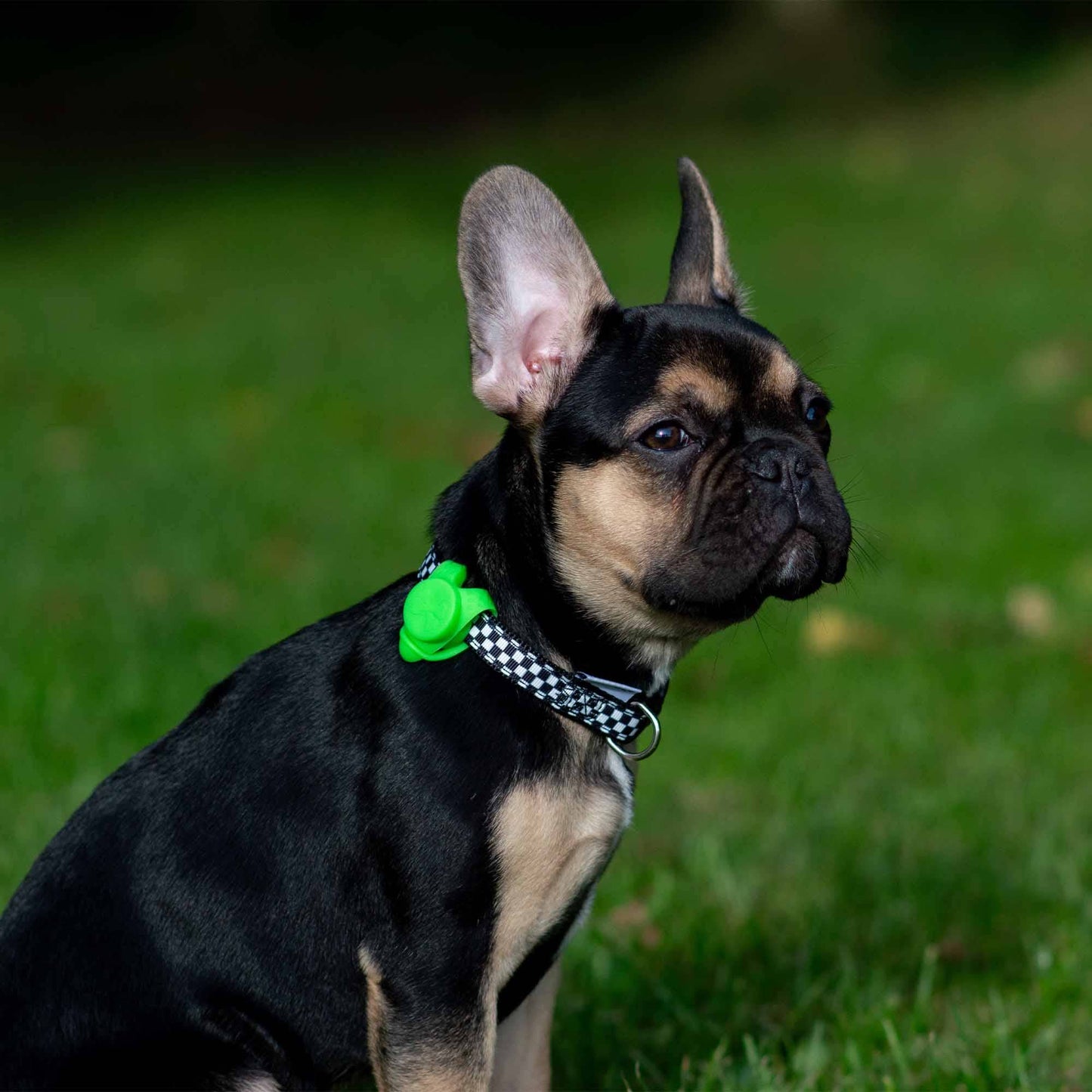 Ancol Night Safety Soft Blinker for Dog Collar