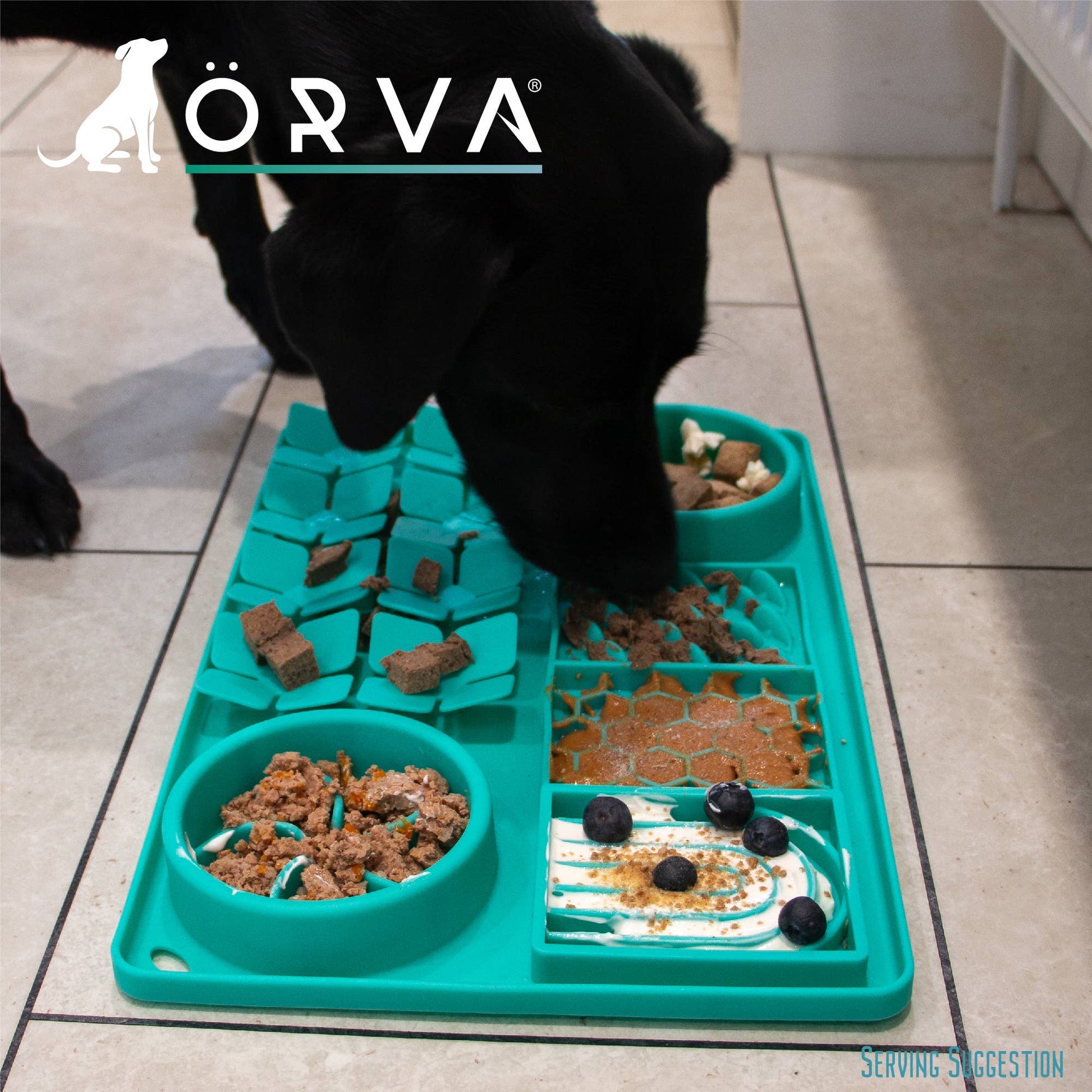 Mental enrichment mat from ÖRVA – stimulates and calms dogs
