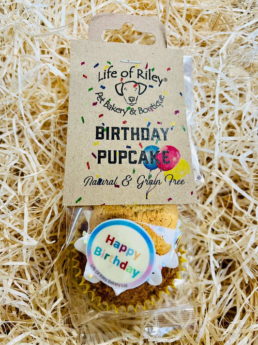 Life of Riley luxury dog birthday cake with frosting, sprinkles, and peanut butter bone