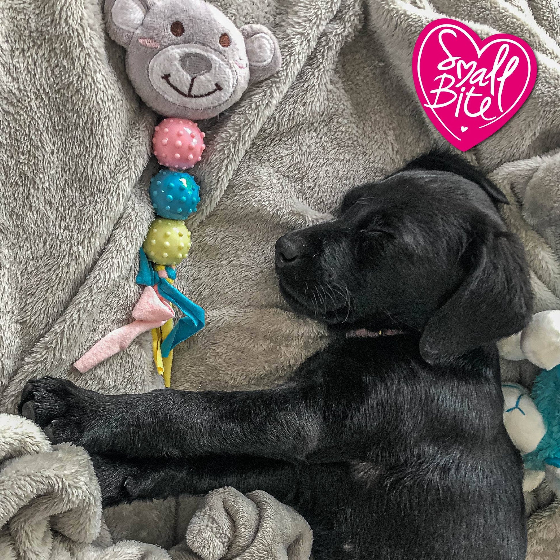 Ancol Small Bite puppy comforter toy showing textured rubbery nubs