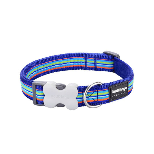 Red Dingo dog collar with horizontal navy stripes and Bucklebone clip