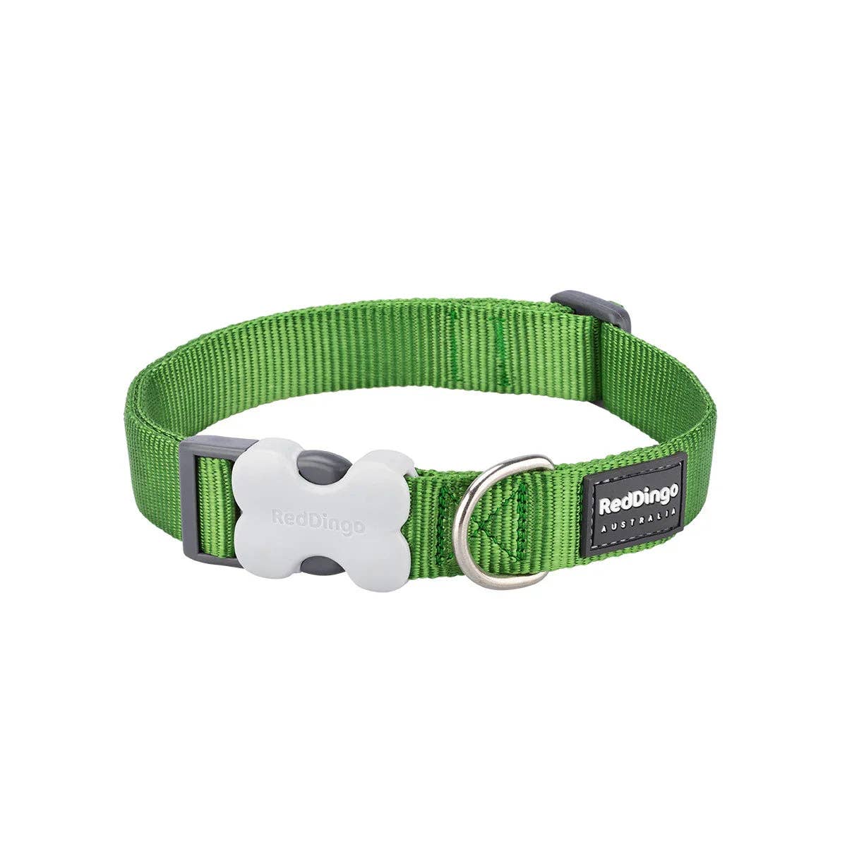 Red Dingo Classic dog collar in Green — Bucklebone buckle and stainless steel D-ring