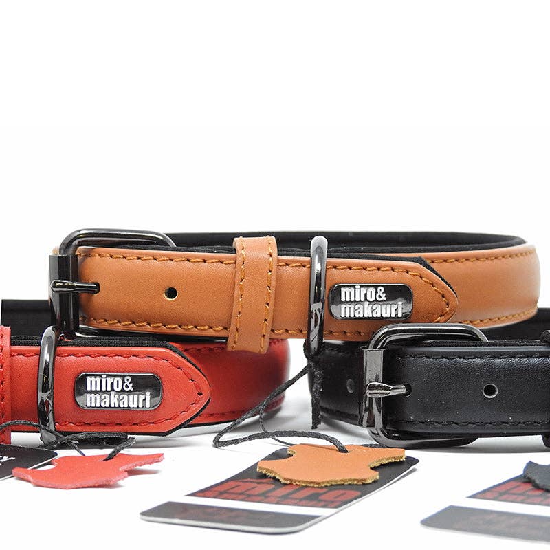 Miro & Makauri 'Milford' Leather Dog Collars - Vibrant Colours - Hairy Dogs (Cambs) Ltd