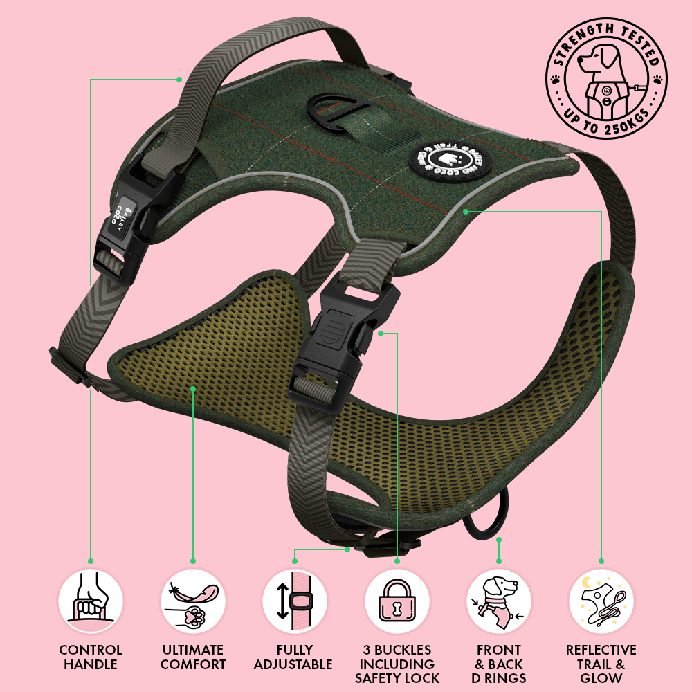 Bailey & Coco Forest Tweed Dog Harness features diagram showing adjustable straps, reflective trim, and handle
