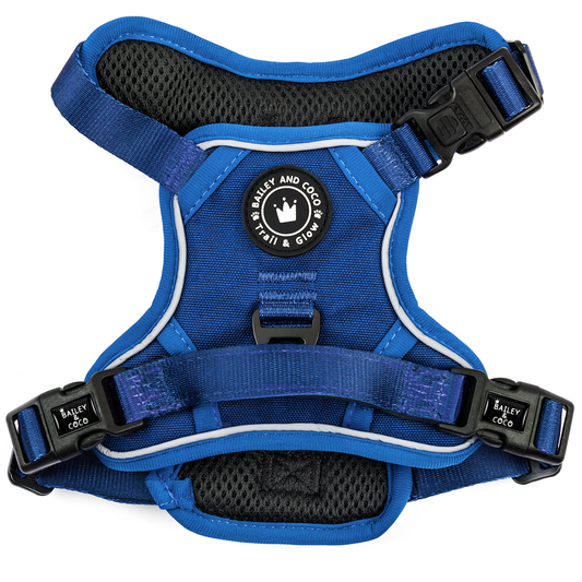 Bailey & Coco Trail & Glow Dog Harness in Ink Blue – reflective, no-pull, fully adjustable harness with handle and dual D-rings.